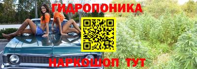 a pvp Краснокаменск