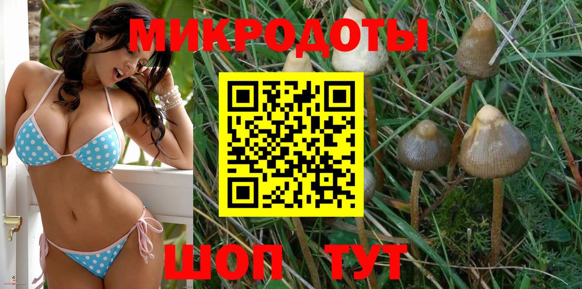 Ирбит  Галлюциногенные грибы ЛСД  Вход с VPN 